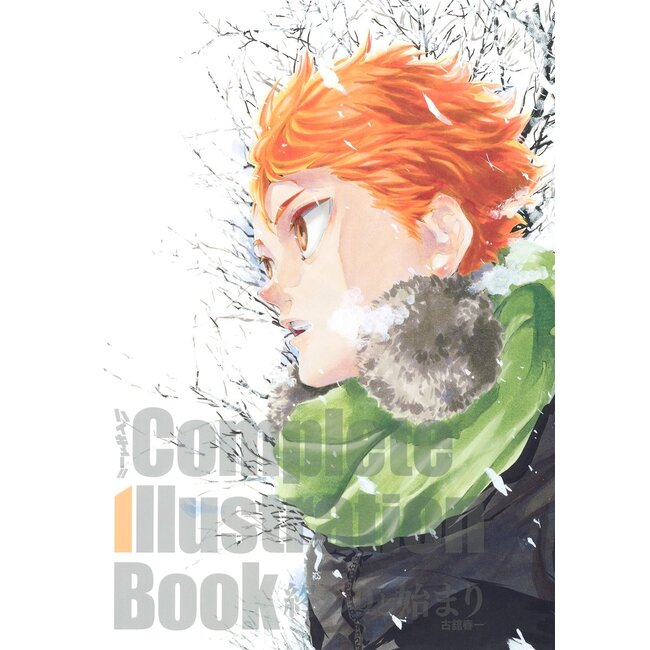 Haikyu!! Complete Illustration Book /The End and the Beginning