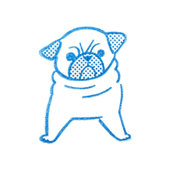 CLS33-009 KORI JIRUSHI (Pug)