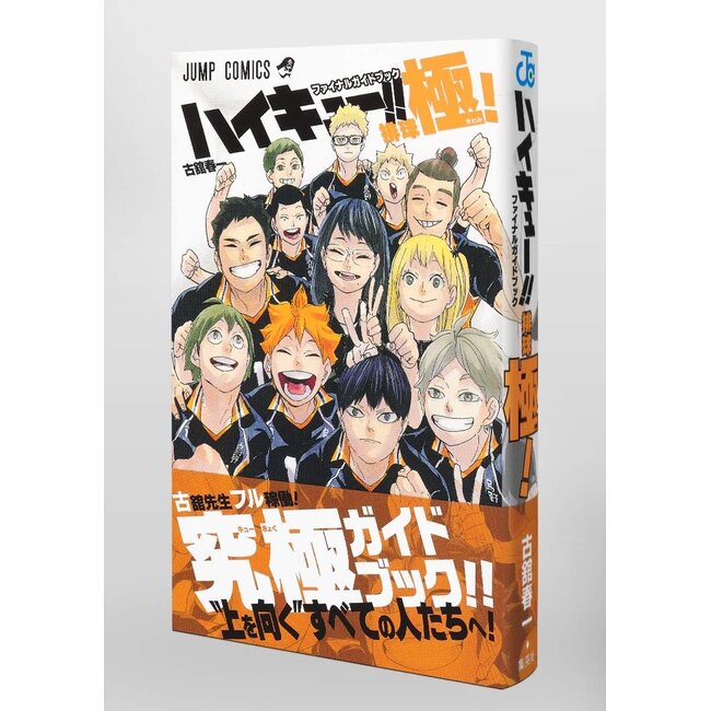 Haikyuu!! Final Guidebook - Exhaustive Jump