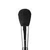 Sigma F10 Powder/Blush