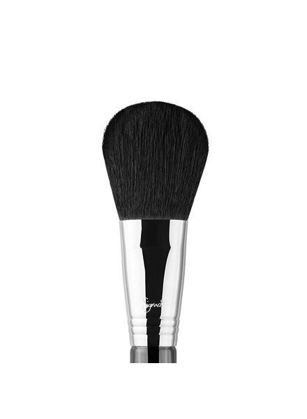 Sigma F20 Large Powder