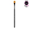 Sigma F75 Concealer