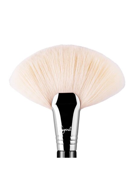 Sigma F90 Fan Brush