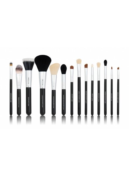 Boozy Cosmetics BoozyBrush 14 pc Classic Starter Set