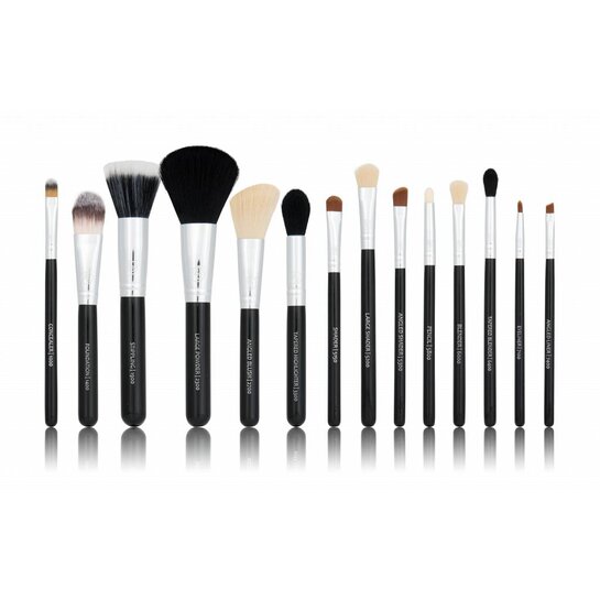 Boozy Cosmetics BoozyBrush 14 pc Classic Starter Set