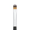 Boozy Cosmetics BoozyBrush 1000 Concealer
