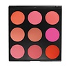 Morphe 9B The Blushed Blush Palette
