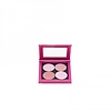 Z Palette Hot Pink Small Palette