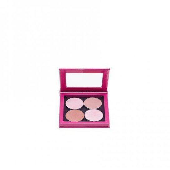 Z Palette Hot Pink Small Palette