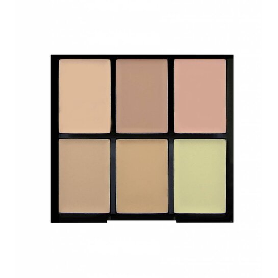 Freedom Pro Conceal & Correct Palette Light