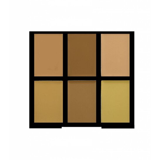 Freedom Pro Conceal & Correct Palette Light/Medium