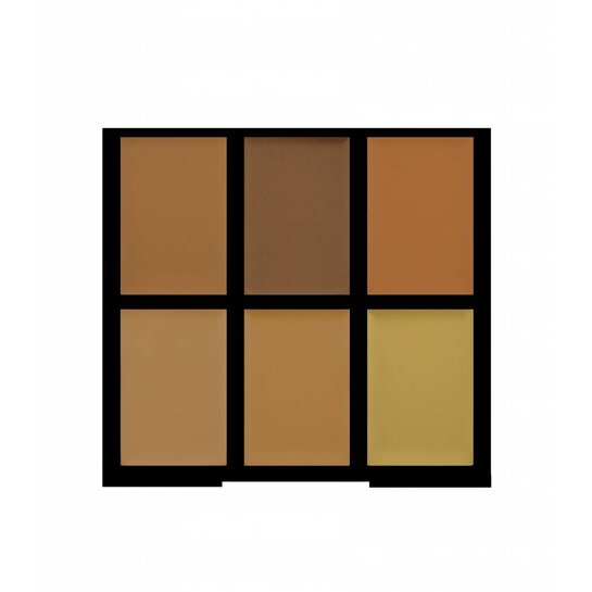 Freedom Pro Conceal & Correct Palette Medium/Deep