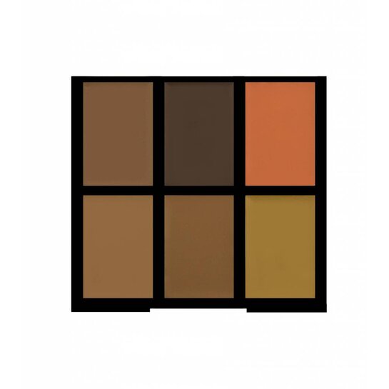 Freedom Pro Conceal & Correct Palette Dark