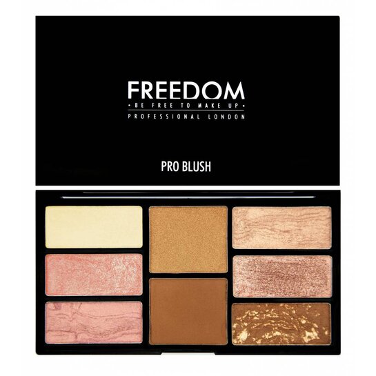 Freedom Pro Blush Palette Bronze and Baked