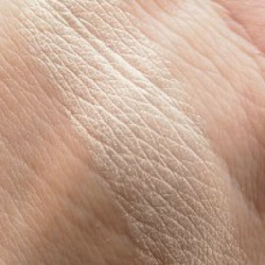 Freedom Pro Highlight Glow