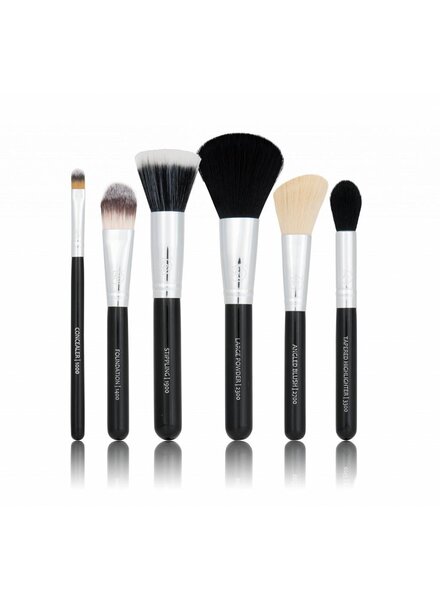 Boozy Cosmetics BoozyBrush 6 pc Classic Starter Face Set