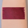 LA Splash Studio Shine Lip Lustre Lady