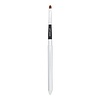 Boozy Cosmetics BoozyBrush 9000 Lip