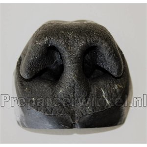 Artificial nose  for a Grizzly Bear