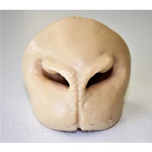 Artificial nose for a Bighorn sheep