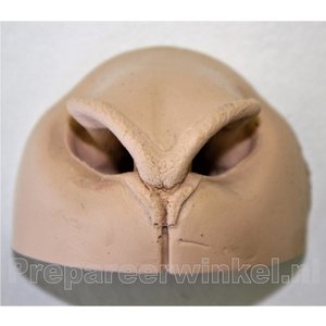 Artificial nose for an Impala