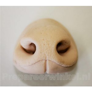Artificial nose for a Duiker