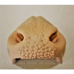 Artificial nose for a whitetail deer