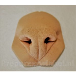 Artificial nose for a Bobcat