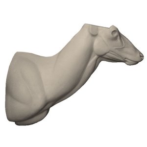 Rothirsch (Cervus elaphus)