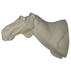 Elch (Alces alces)