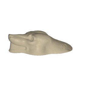 Rotfuchs (Vulpes vulpes)