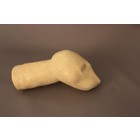 Cat / Domestic cat - wrapping head