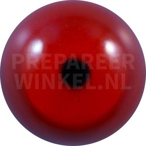 Eistaucher (Gavia immer)