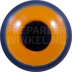 Sperber (Erwachsener Weibchen)