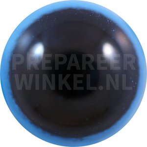 Brileider (Somateria fischeri)