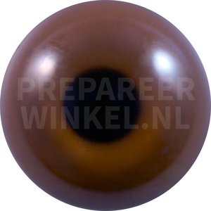 Mallard (Anas platyrhynchos)