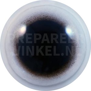 Schwarzschnabel-Sturmtaucher (Puffinus puffinus)