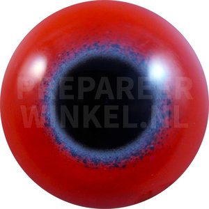 Allfarblori (Trichoglossus haematodus)