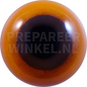 Mülleramazone (Amazona farinosa)