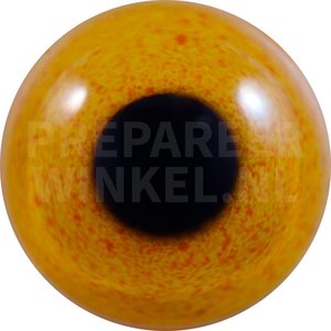 Malaienente (Cairina Scutulata)