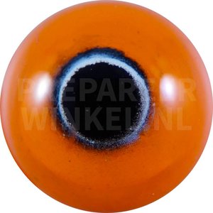 Gelbkopflori (Trichoglossus euteles)