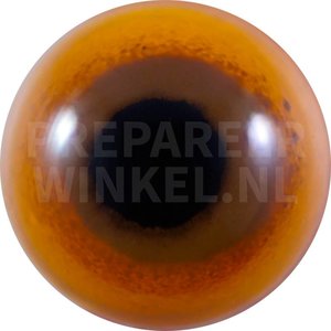 Orangeschnabel-Berglori (Neopsittacus pullicauda)