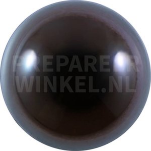 White stork (Ciconia ciconia)