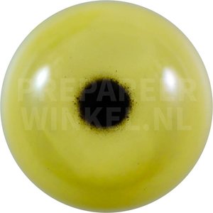 Spatelente (Bucephala islandica)