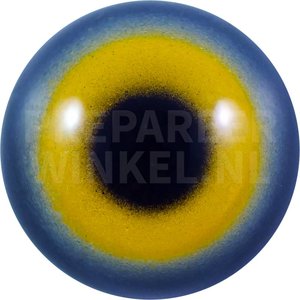 Wiesenweihe (Circus pygargus)