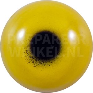 Feuerland-Austernfischer (Haematopus leucopodus)