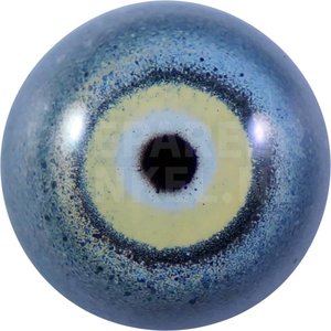 Little penguin (Eudyptula minor)