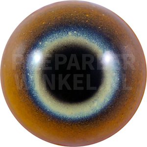 Grünschwanzlori (Lorius chlorocercus)