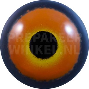 Kapente (Anas capensis)