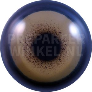 Weißkopfseeadler (Haliaeetus leucocephalus)